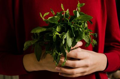 Midsection of woman holding herbs