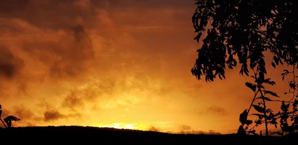 Low angle view of silhouette trees against sky during sunset