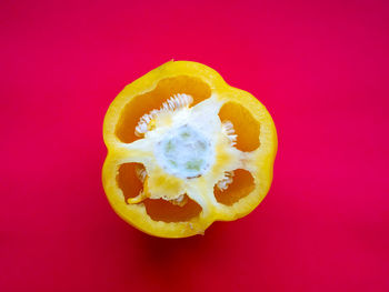 Close-up of orange fruit against red background