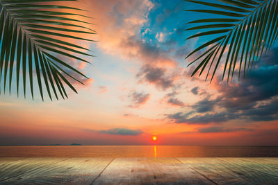 Scenic view of palm trees against sky during sunset