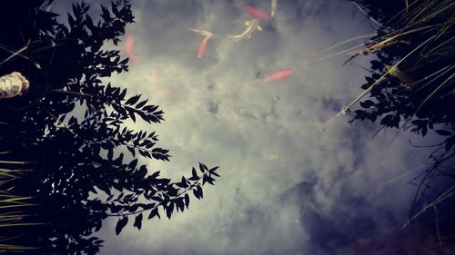 Low angle view of tree against cloudy sky