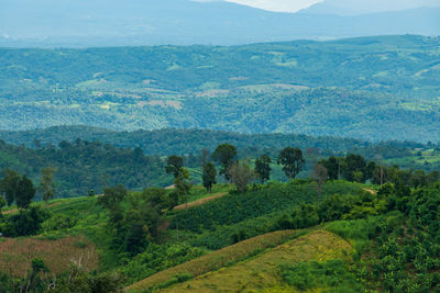 Scenic view of landscape