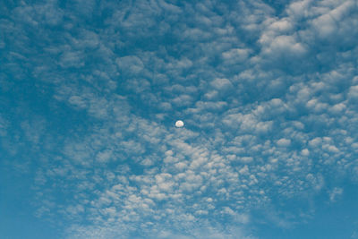 Low angle view of moon in sky