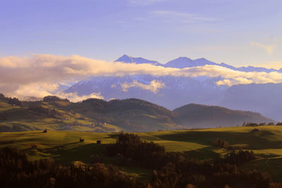 Scenic view of landscape against sky