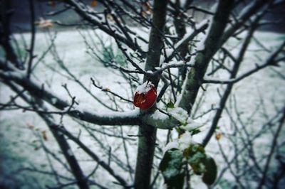 Bird perching on branch