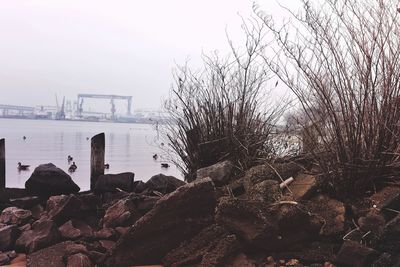 Scenic view of sea against clear sky