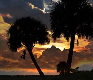 Low angle view of silhouette palm trees against dramatic sky