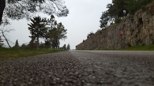 Surface level of road against trees