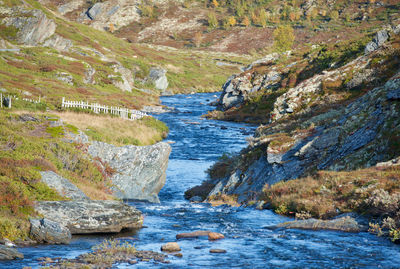 Grimsdalen norway