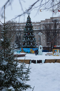 Christmas tree in winter