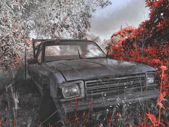 Abandoned car against trees