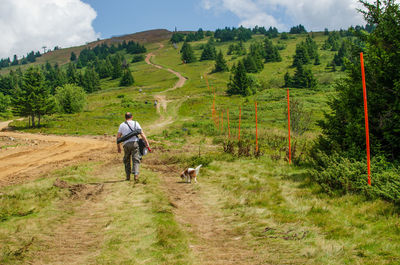 Rear view of man walking on land