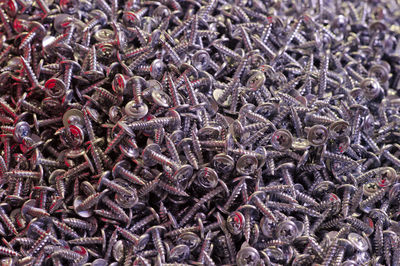 Full frame shot of shells