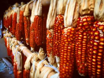 Close-up of corn for sale in market