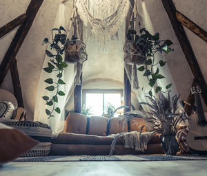 Potted plants on window at home