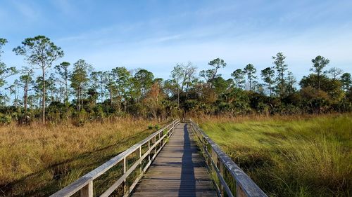 Boardwalk amidst plants on field against sky