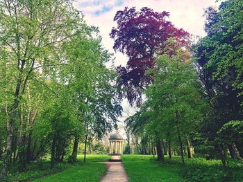 Trees in park against sky