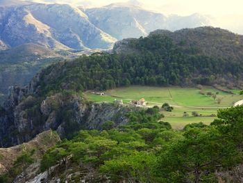 Scenic view of trees and mountains