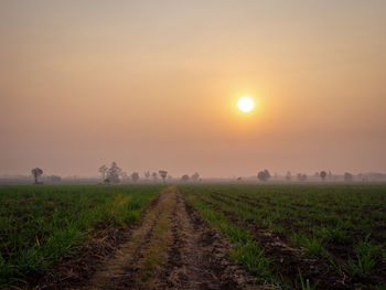 Scenic view of field against sky during sunset