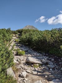 Scenic view of land against sky