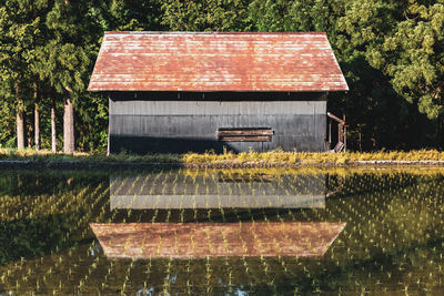 Plants growing by lake against trees