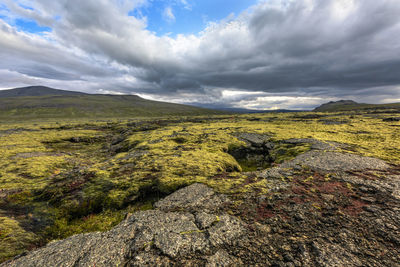 Scenic view of landscape against sky