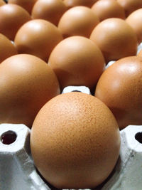 Close-up of eggs