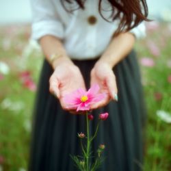 Mid section of a woman holding flower