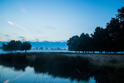 Silhouette of trees against blue sky