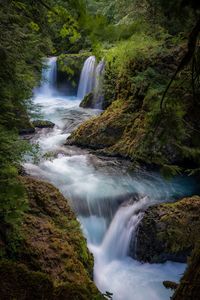 Scenic view of waterfall in forest