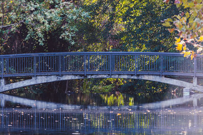 Arch bridge over lake during autumn