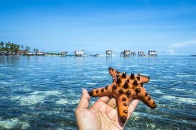 Cropped image of hand holding starfish against sea