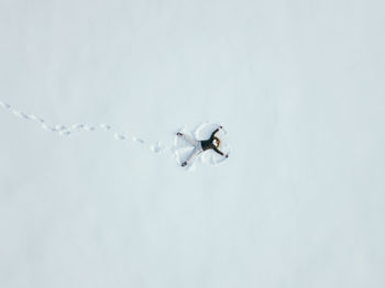 High angle view of young woman making snow angel