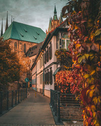 View of the cathedral of erfurt, germany. blick auf den erfurter dom, deutschland.