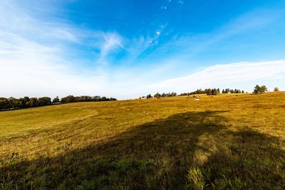 Scenic view of field against sky