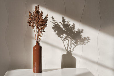 Interior composition. clay brown vase with brown dried flowers on a white coffee table 