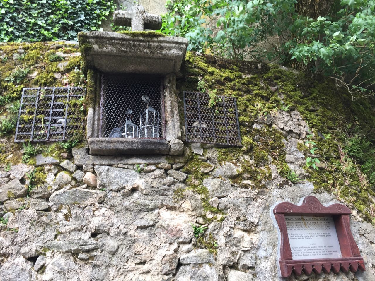 rock - object, no people, day, outdoors, plant, built structure, architecture, tree, nature, building exterior