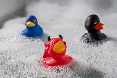 Close-up of toys