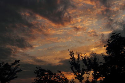 Low angle view of silhouette trees against orange sky