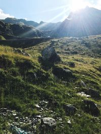 Scenic view of landscape against bright sun