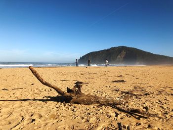 People at beach against clear blue sky