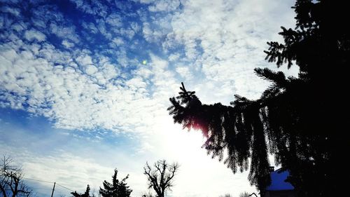 Low angle view of silhouette trees against sky