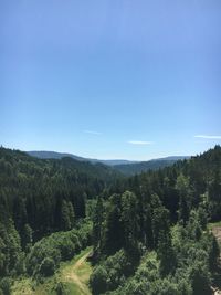 Scenic view of forest against clear sky