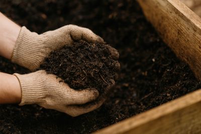 soil