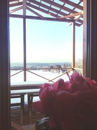 Close-up of person looking through window