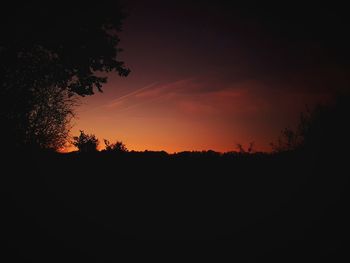 Silhouette trees against sky during sunset