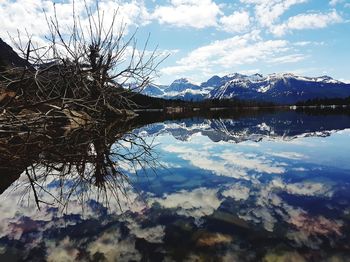 Scenic view of lake by trees against sky