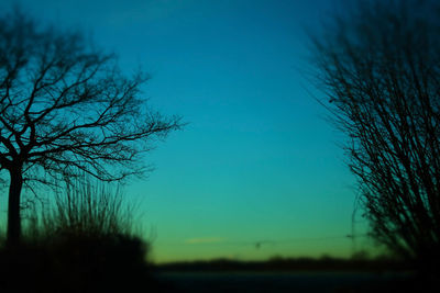 Bare tree on field against clear sky