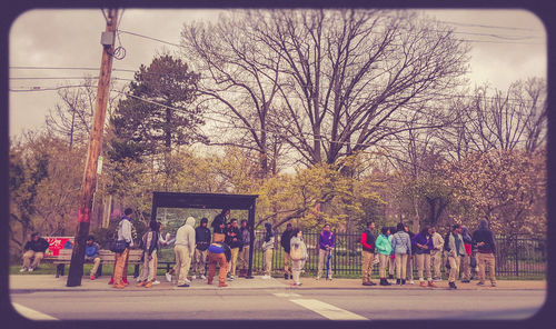 Bare trees against sky