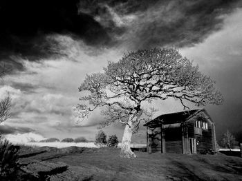 Low angle view of bare tree against cloudy sky